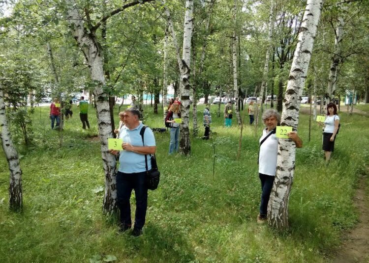 Кюстендилци скочиха да спасяват десетки брези край галерията 1 5919