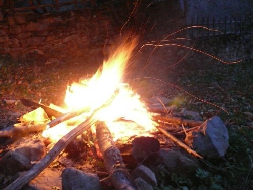 1000 лв. глоба за огън в гората 8 1000 лв. глоба за огън в гората