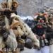 Рекорден брой участници се готвят за пернишката „Сурва“