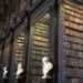 The UNESCO World Book Capital 2021 contest is open 8 The UNESCO World Book Capital 2021 contest is open