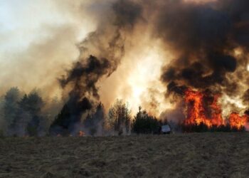 21 пожара заради запалени стърнища от началото на март