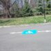 Морската градина в Бургас с маршрути за трудноподвижни хора