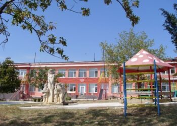 Фрапиращо насилие над деца в дома в Борован