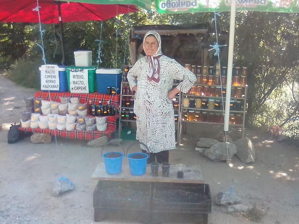 По-малко и по-скъпи боровинки в Якорудско