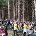 Доброволци залесяват горите 8 Доброволци залесяват горите