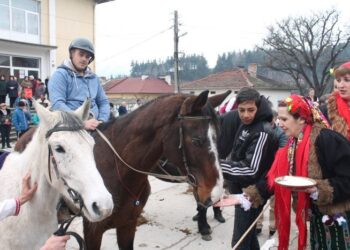 За първи път без кушии на Тодоровден