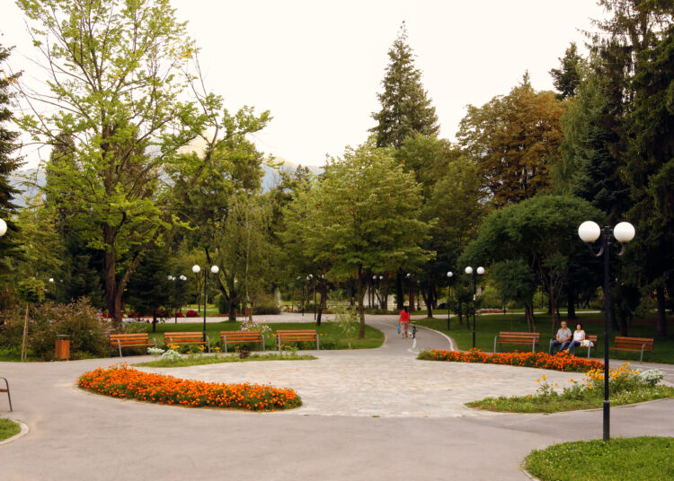 парк 6 1