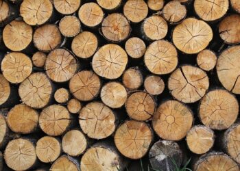 Дариха дърва на семейства в Търговище