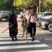 Приказни герои помагат на учениците да пресичат в Бургас