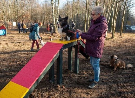 Dog park built thanks to the civic budget of Lodz 1 1 1311
