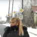 Хърватин задържа дъха си под вода над 24 минути (Видео) 7 Хърватин задържа дъха си под вода над 24 минути (Видео)