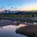 Madrid combats pollution with major greening project 8 Madrid combats pollution with major greening project