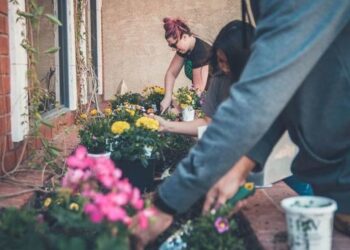 Want to learn how to grow flowers?