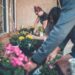 Want to learn how to grow flowers?