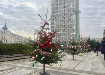 Деца украсиха Видин с алея от коледни елхи