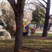 Нови пейки и детска площадка в Градската градина на Пазарджик