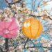 Don’t miss Sweden's largest cherry picnic 8 Don’t miss Sweden’s largest cherry picnic