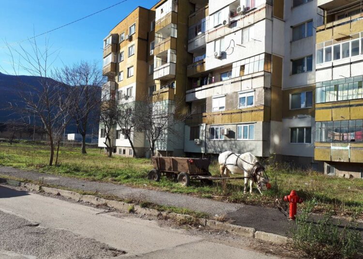 Конфискуваха кон и каруца във Враца 1 110 2