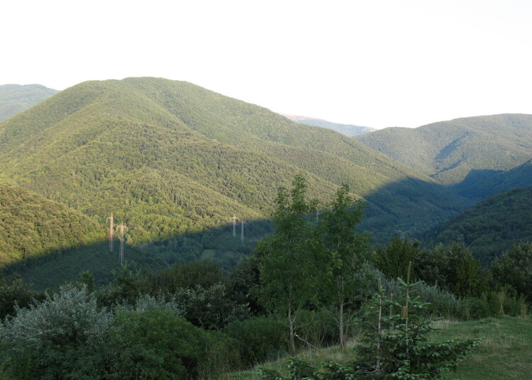 1200px Pantata