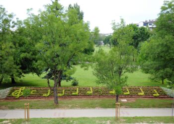 Петолиние от цветя в София