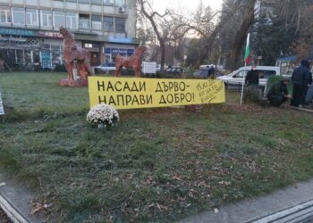Засадиха 1001 дръвчета в Перник