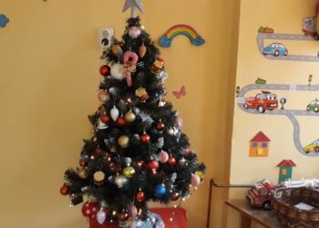 Дариха 23 елхи на учебни заведения в Шумен