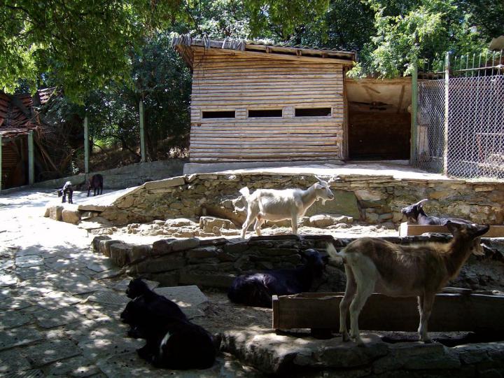 Зоопарковете в Айтос и Пазарджик с нови лицензи