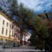Преобразяват площада край емблематичния Стар бряст