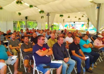 Според ловци събирачите на трюфели разнасят чумата по свинете