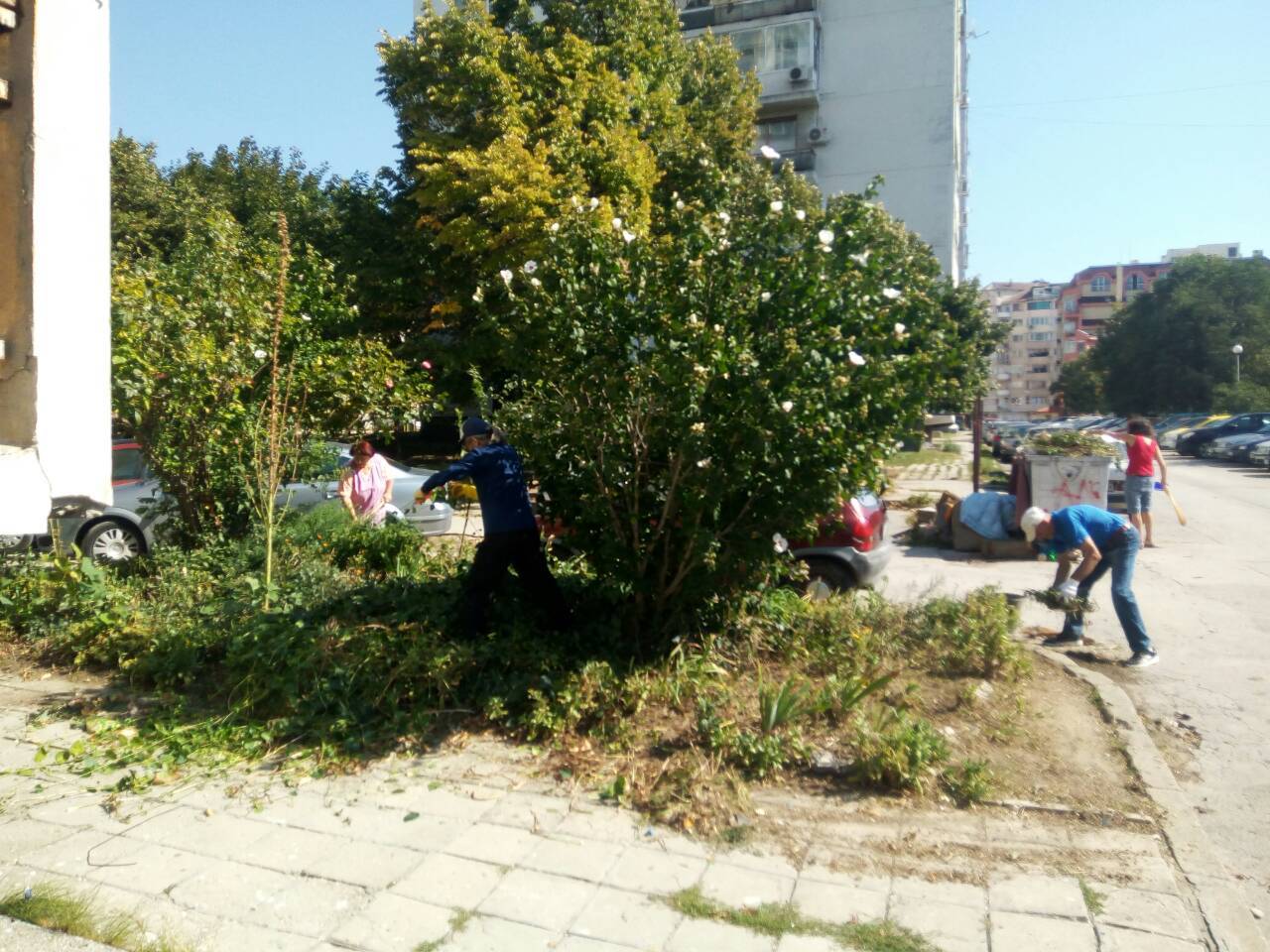 Почистването на Варна продължава и днес 8 Почистването на Варна продължава и днес