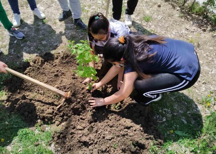 Седем ловешки училища залесяваха в Деня на Земята 1 Снимка: Община Ловеч
