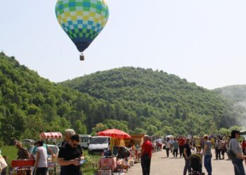 Видинчани преоткриват “Божурица”