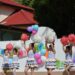 Деца поемат управлението на община Симитли на 1 юни
