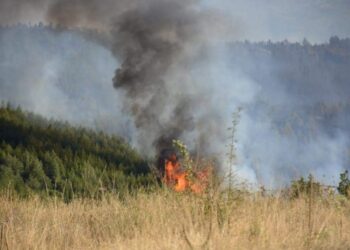 Пожарът край турската граница е под контрол