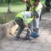 Кмет наказа вандали с общественополезен труд