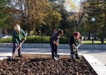 Засаждат 30 000 теменужки в Търговище