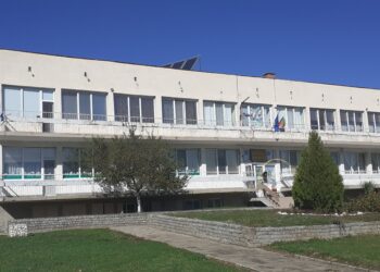 Правят като нова селска забавачка