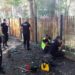Столични общинари пребоядисаха ограда на школо