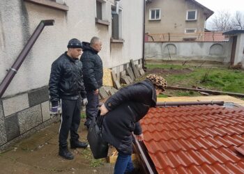 Ураганният вятър нанесе сериозни щети във Враца (снимки)