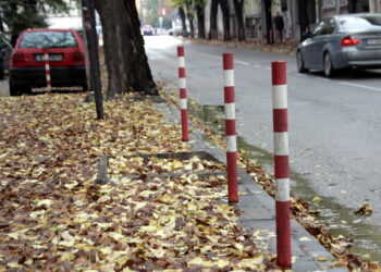 Шумен започва масирано събиране на есенни листа