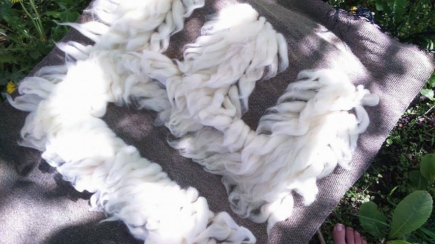 Студентка изписа България на глаголица на осемметрово пано от вълна