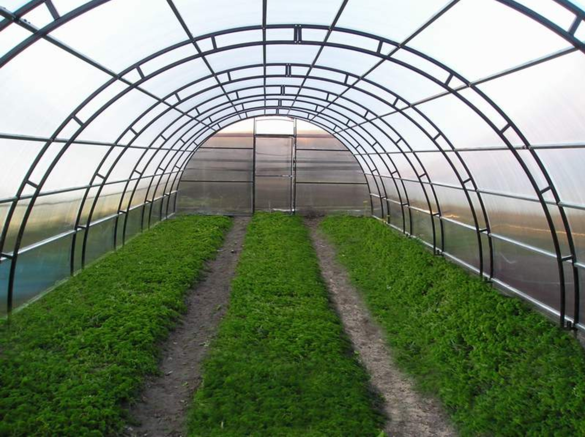 Карантината за българи и румънци поряза Италия, няма работници
