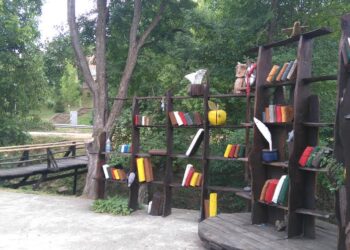 Студенти превърнаха парк край Велико Търново във вълшебна гора