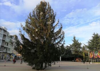 11-метрова елха грейва в Казанлък в петък, 13-и