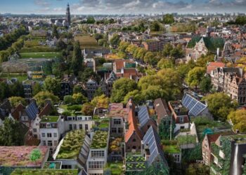 Blue-green roofs to be installed in Amsterdam