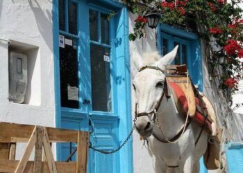 Hydra, one of the most picturesque Greek islands