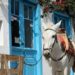 Hydra, one of the most picturesque Greek islands