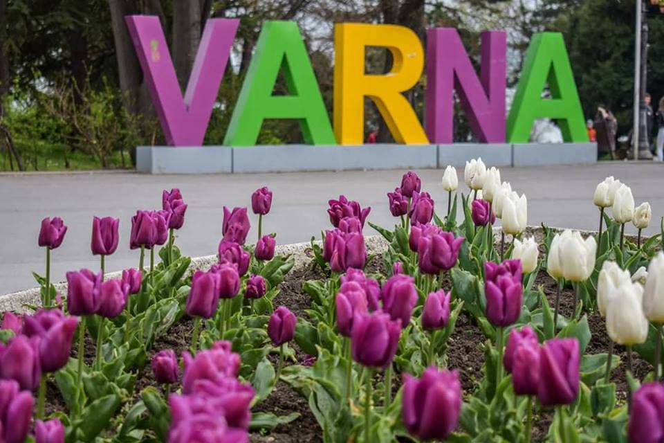 Във Варна правят център за възрастни с деменция