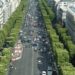 Paris plan to make the city’s public transit free