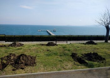 Нов аромат на липи в Морската градина